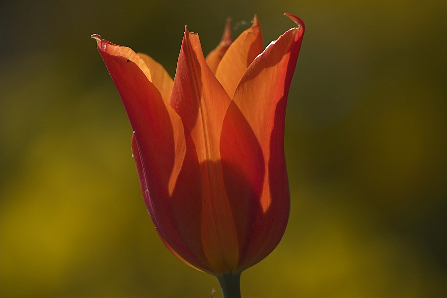 DSC_2772-01.jpg