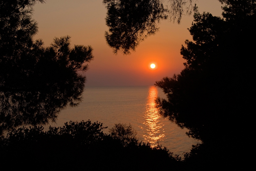 DSC_1379.jpg
