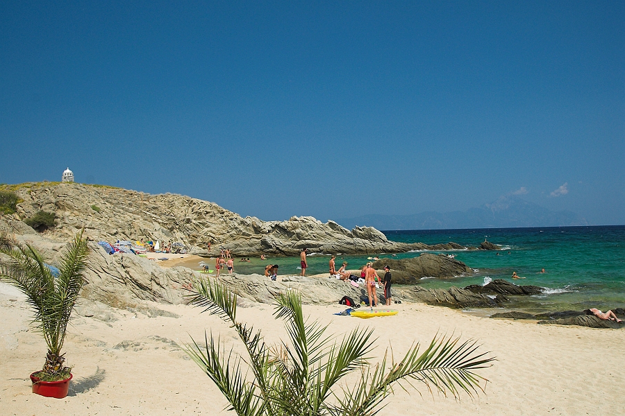 DSC_1436-01.jpg