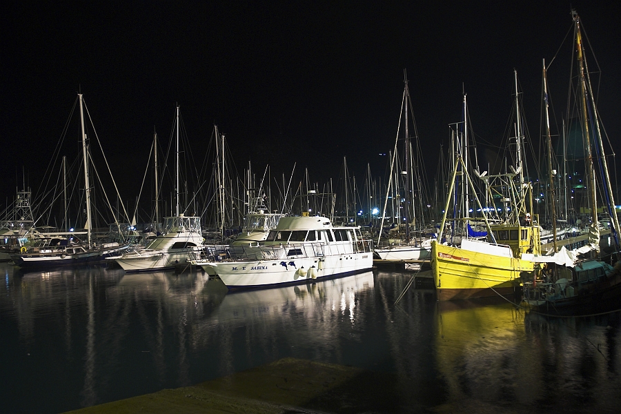 DSC_4421-01.jpg