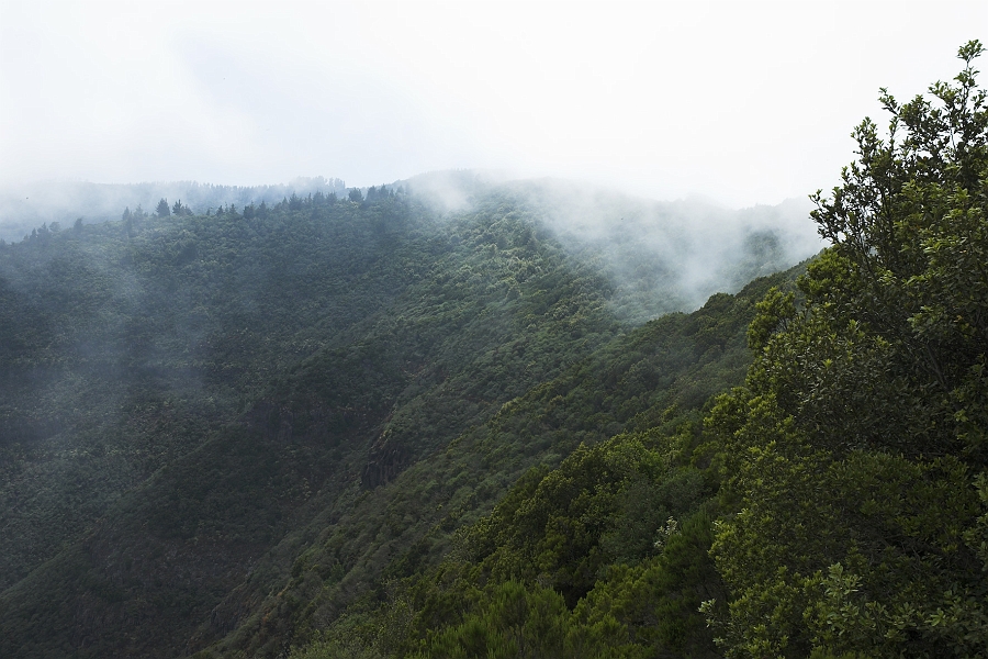 DSC_4635-01.jpg