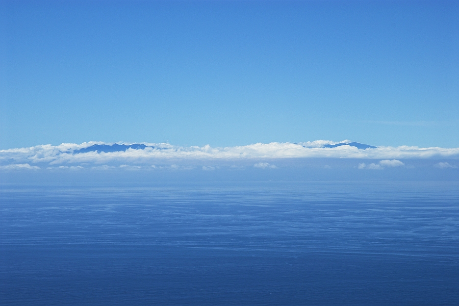 DSC_4833-01.jpg