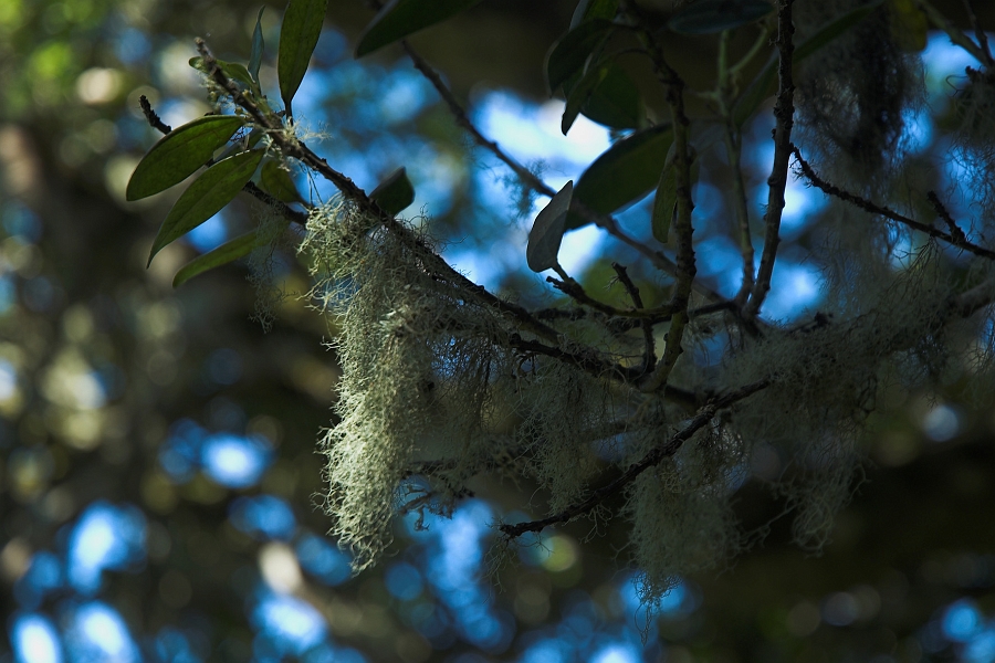 DSC_4844-01.jpg