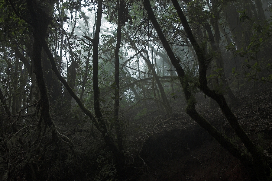 DSC_4938-01.jpg