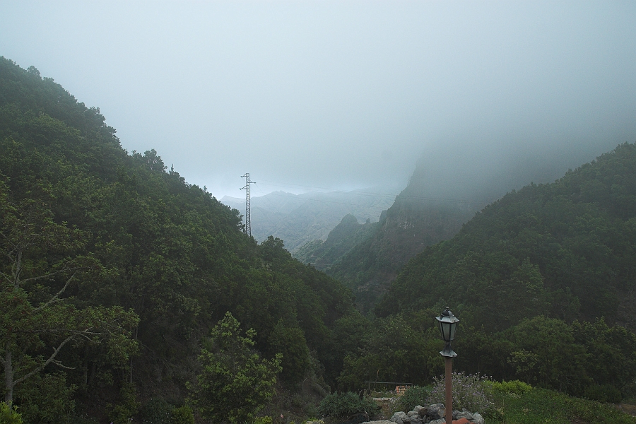 DSC_4965-01.jpg