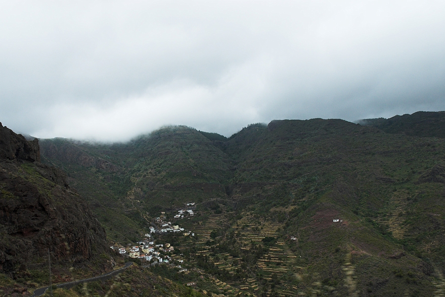 DSC_5008-01.jpg