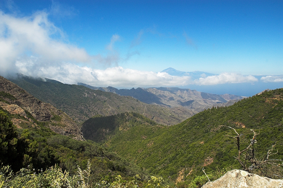 DSC_5348-01.jpg