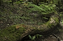 DSC_4400-01