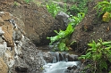 DSC_4958-01