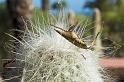 DSC_5361-01