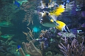 DSC_5709-01