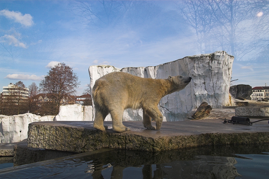 DSC_0407-01.jpg