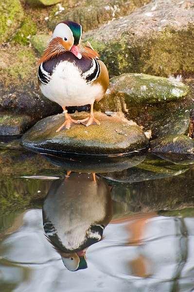 DSC_2548.jpg