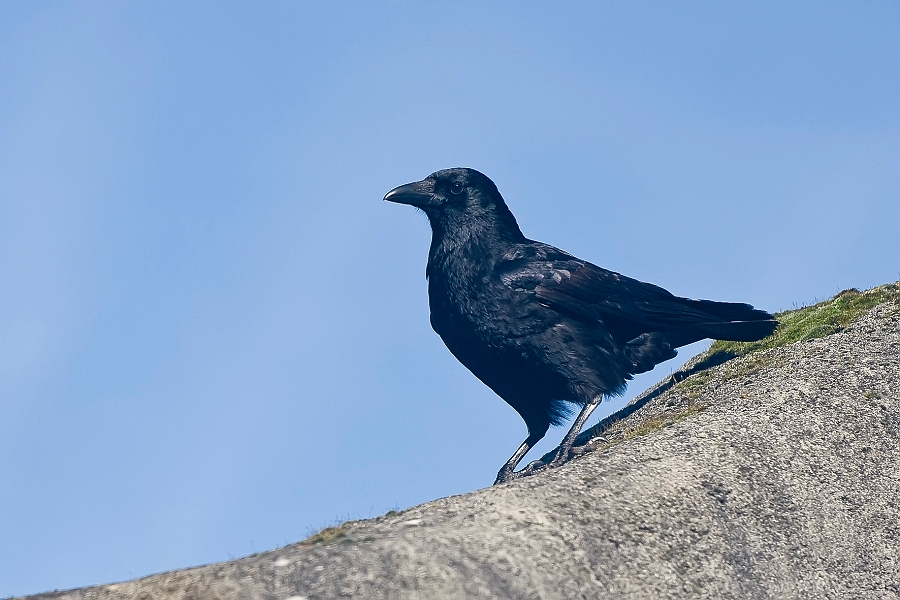 DSC_2841.jpg