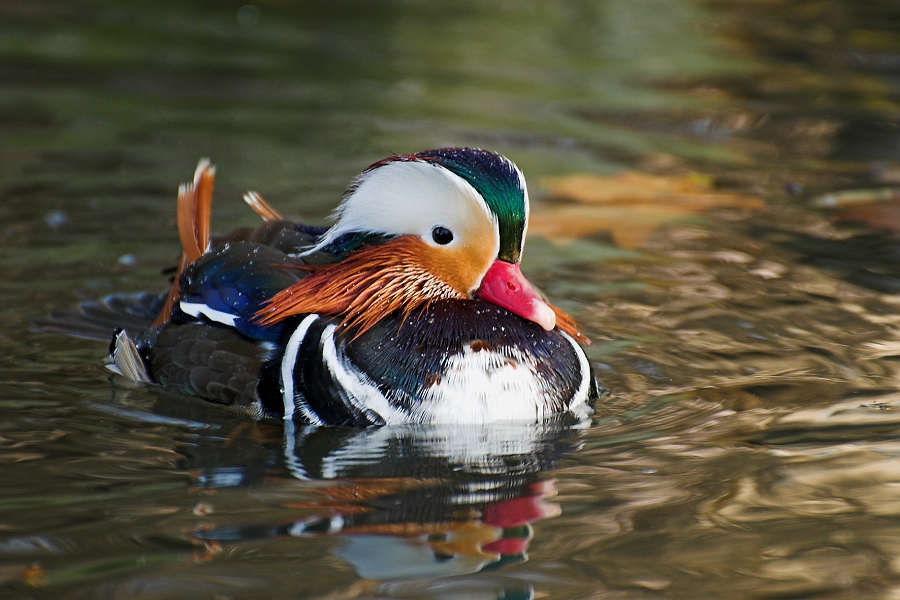 DSC_3262-01.jpg