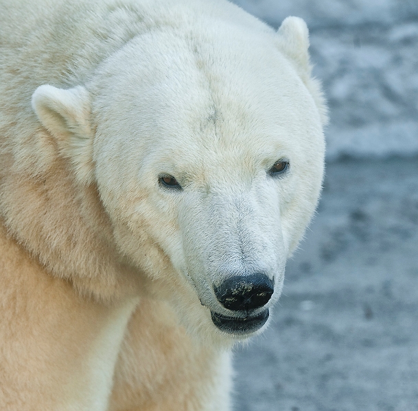 DSC_3610.jpg