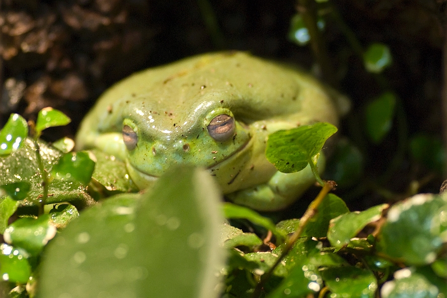 DSC_8576.jpg