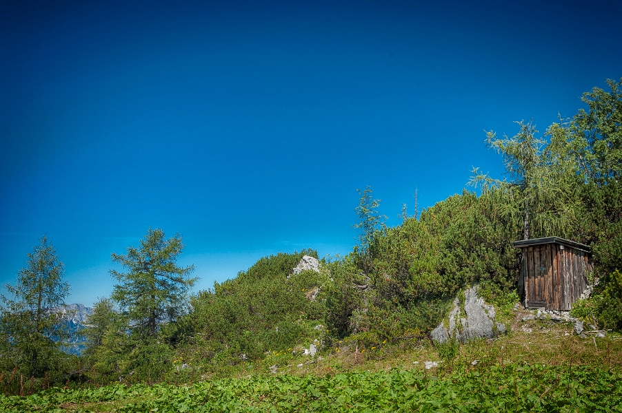 2875357696-13298095.jpg - Es steht ein Haus in ...