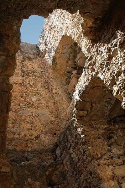 DSC_0140.jpg