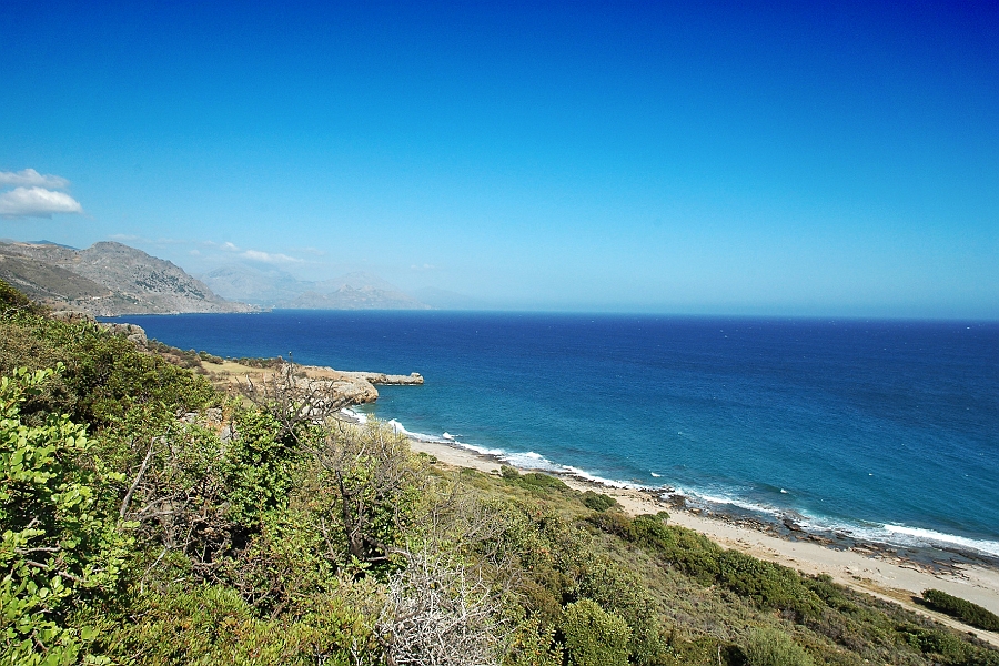 DSC_0296.jpg