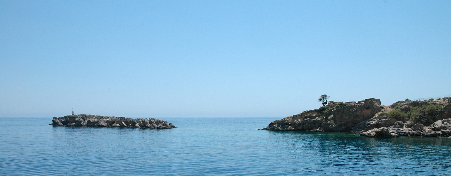 DSC_0392.jpg