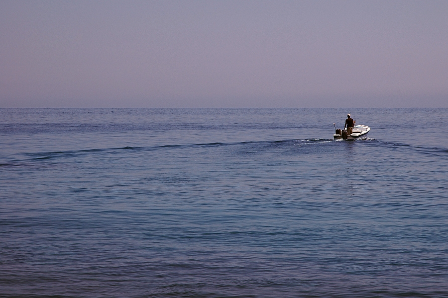 DSC_0397.jpg