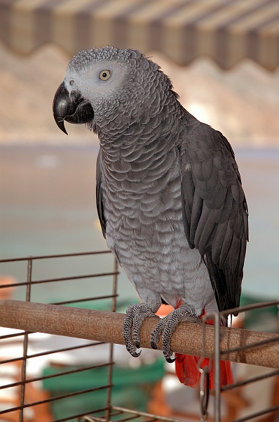 DSC_0653.jpg