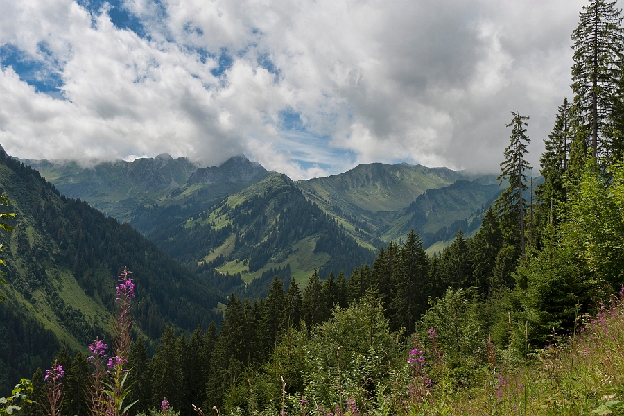 DSC_5839.jpg