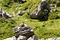 DSC_6368