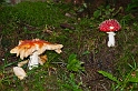 DSC_6735