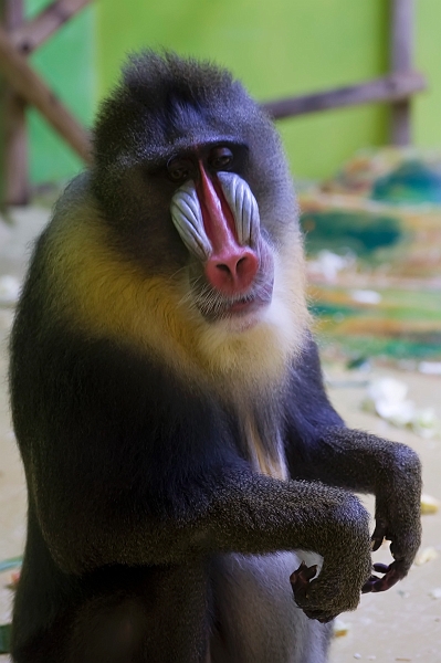DSC_2095.jpg