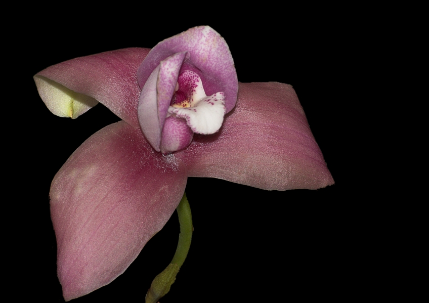 DSC_3150-02.jpg