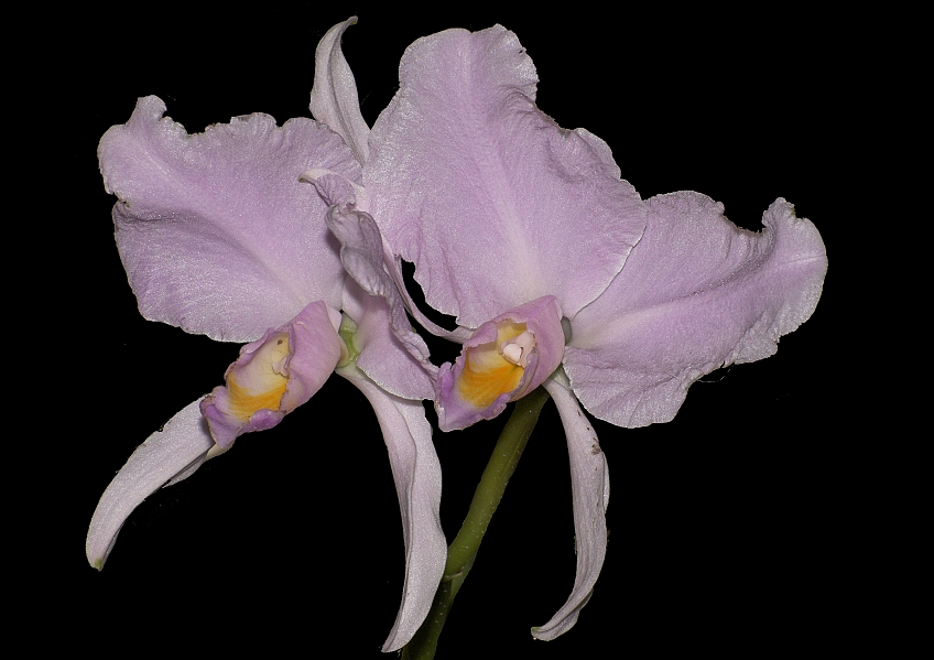 DSC_3182-01.jpg