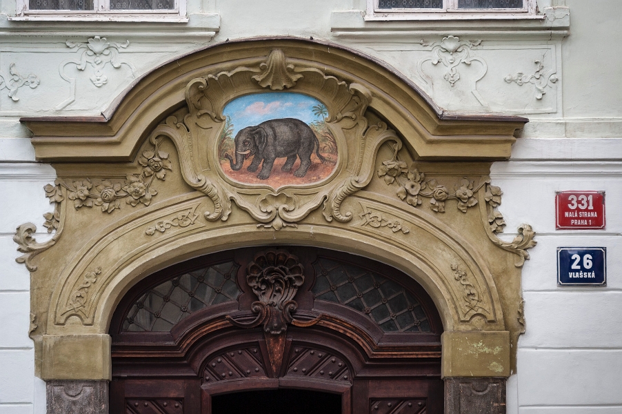 DSC_0595.jpg