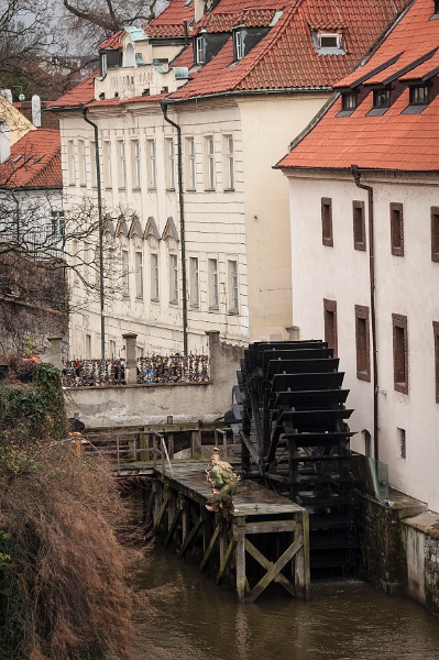 DSC_0604.jpg