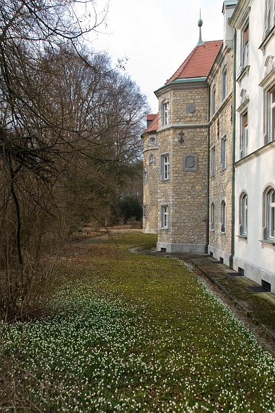 DSC_0463.jpg
