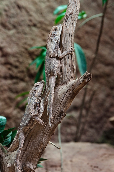 DSC_6890.jpg