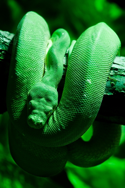 DSC_6904.jpg