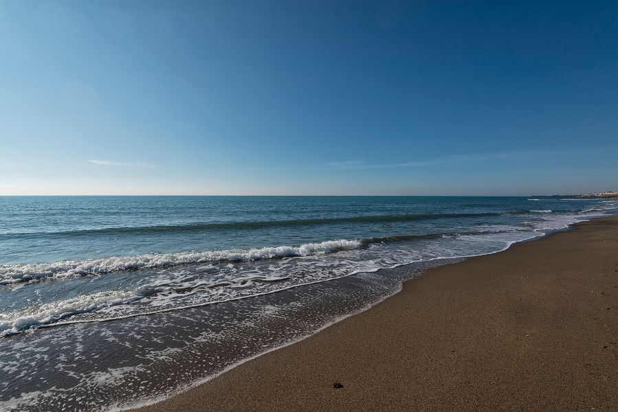 DSC_6165.jpg