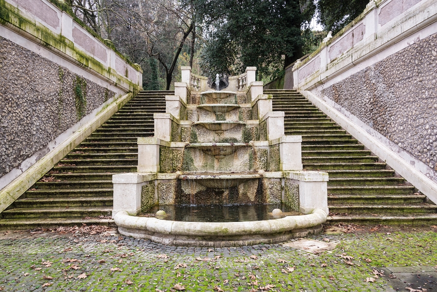 DSC_6257.jpg