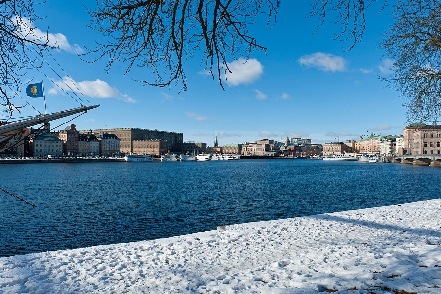 DSC_0118.jpg