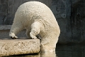 karlsruhe_zoo
