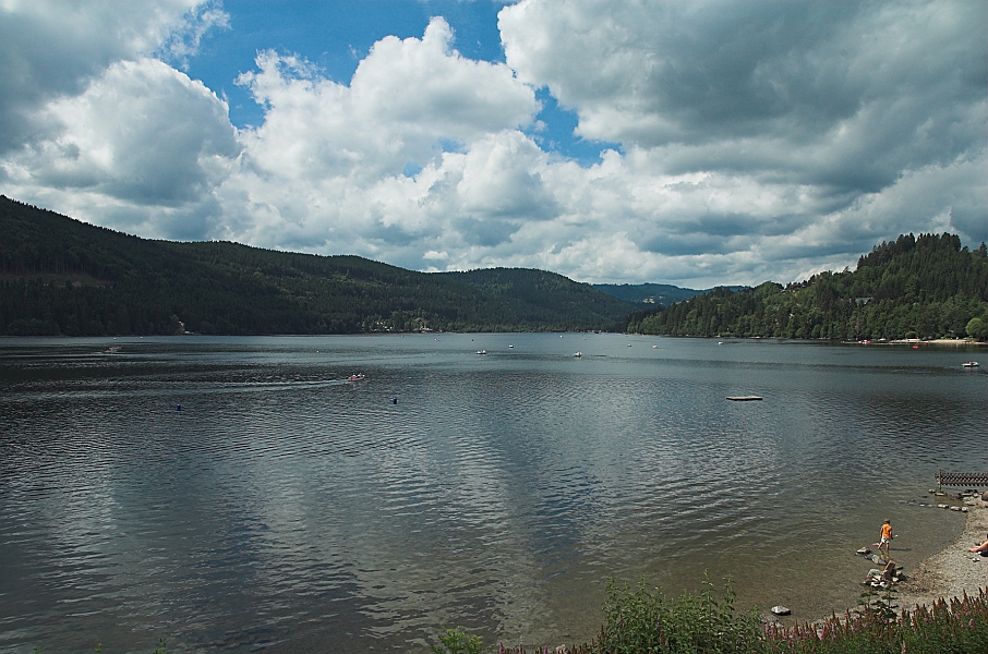 DSC_2646-01.jpg