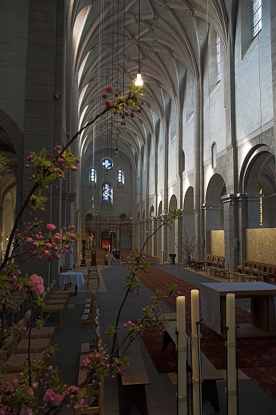 DSC_5930-01.jpg