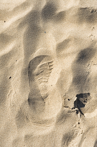 DSC_3452.jpg