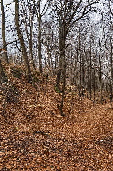 DSC_3650.jpg