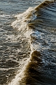 DSC_4032