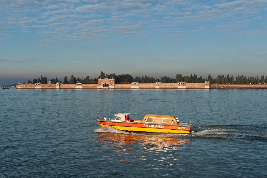 DSC_9342.jpg