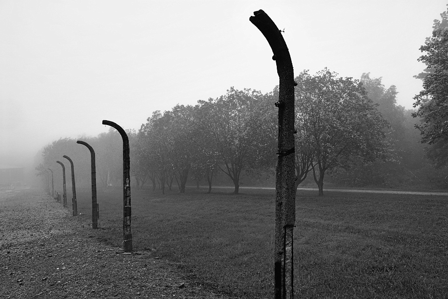 DSC_7350-sw.jpg