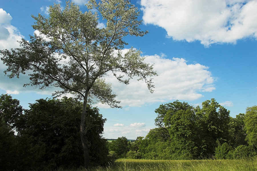DSC_7576-01.jpg